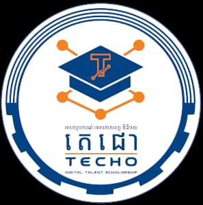 Techo Digital Talent Scholarship emblem